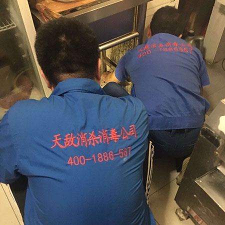 衡水专业消毒服务